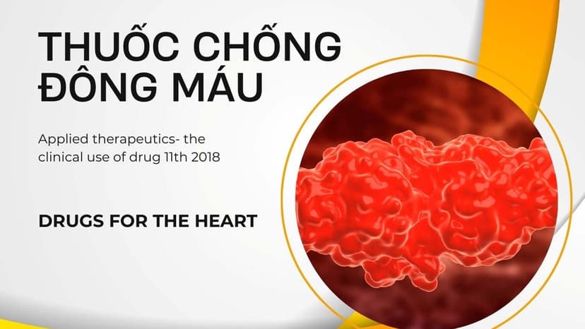 Thuốc chống đông máu uống trước hay sau ăn?