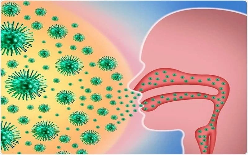 thuốc xịt mũi kháng histamin