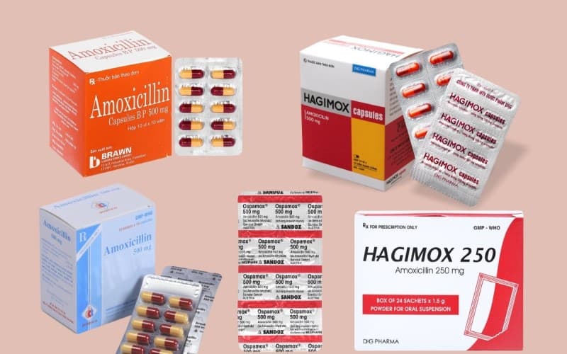 liều dùng amoxicillin 500mg cho người lớn