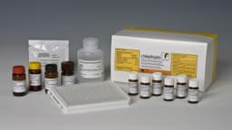 Đặc tính thuốc kháng sinh nhóm Sulfamid