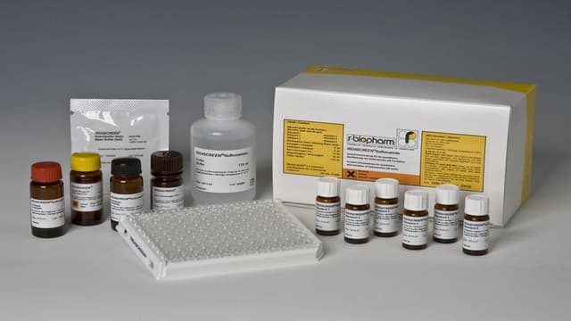 Đặc tính thuốc kháng sinh nhóm Sulfamid