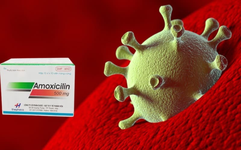 thuốc kháng sinh viêm họng amoxicillin