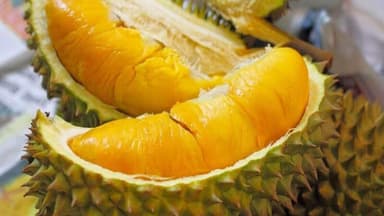 Bị tiểu đường thai kỳ ăn sầu riêng được không?