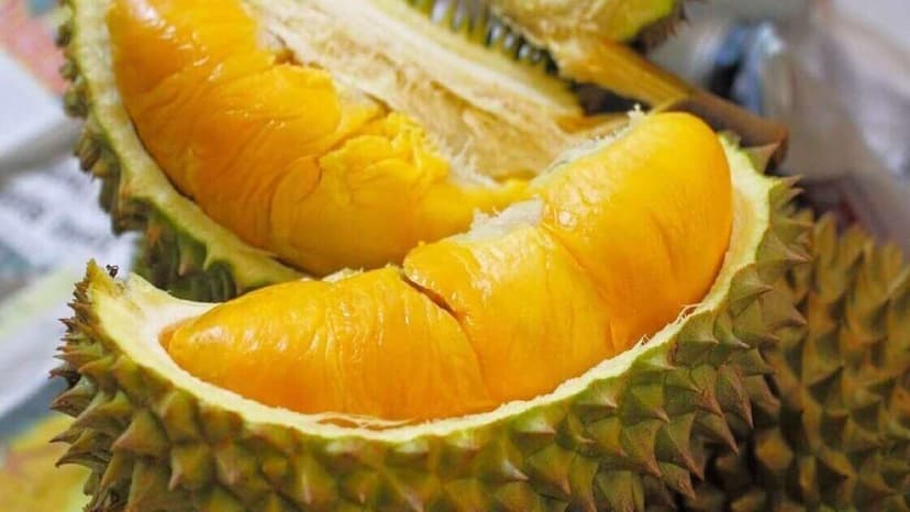 Bị tiểu đường thai kỳ ăn sầu riêng được không?