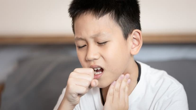 Vì sao trẻ ho kéo dài không sốt? Cảnh báo điều gì?