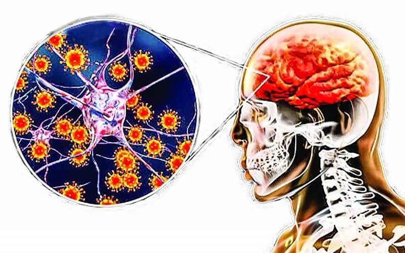 mắc bệnh dại có gây tử vong không