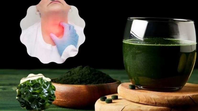 U tuyến giáp có uống được tảo biển không?