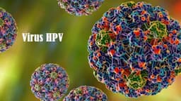 Virus HPV có gây ung thư hậu môn không?
