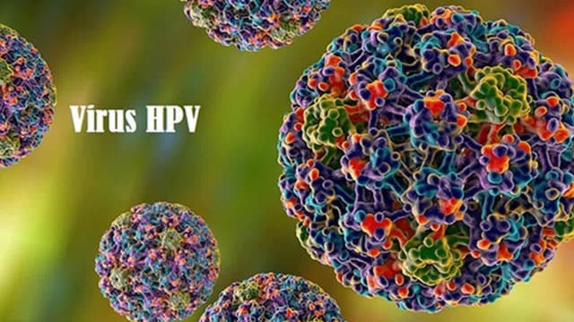 Virus HPV có gây ung thư hậu môn không?