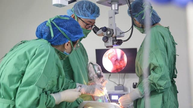 Làm gì ngay khi bị vật nhọn đâm vào mắt?