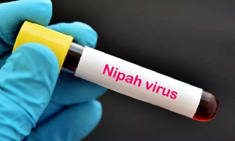 Nguồn gốc virus Nipah Ấn Độ, lây qua đường nào?