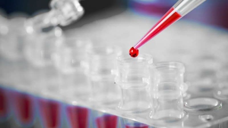 xét nghiệm EGFR ung thư phổi