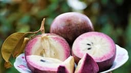 1 quả vú sữa bao nhiêu calo? Bị tiểu đường có nên ăn?