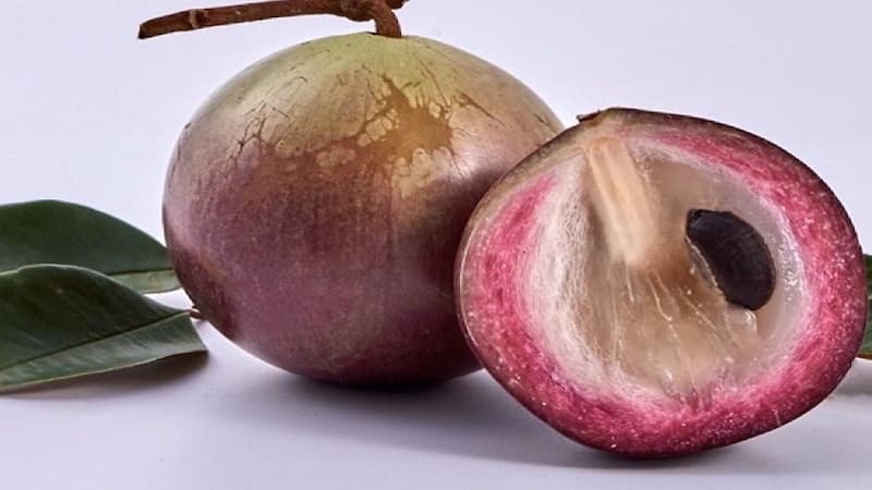 1 quả vú sữa bao nhiêu calo