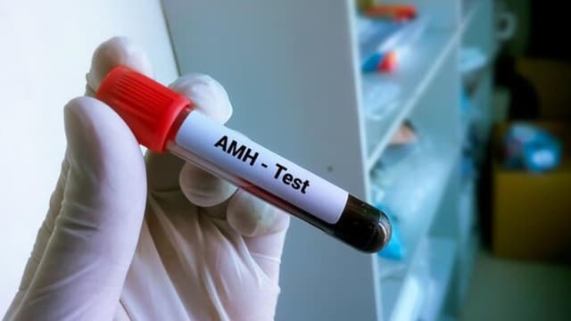 Nồng độ AMH thấp có rụng trứng không?