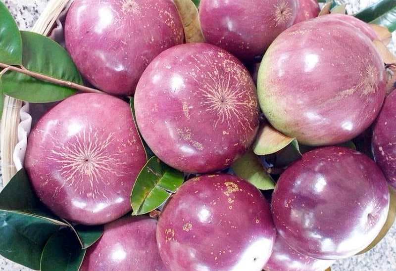 1 quả vú sữa bao nhiêu calo