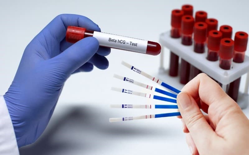 tại sao thai trứng gây cường giáp