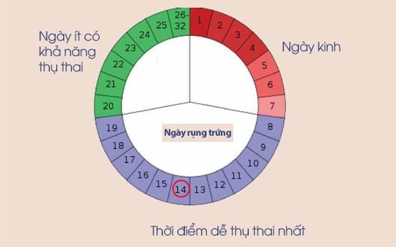 siêu âm vú khi có kinh nguyệt
