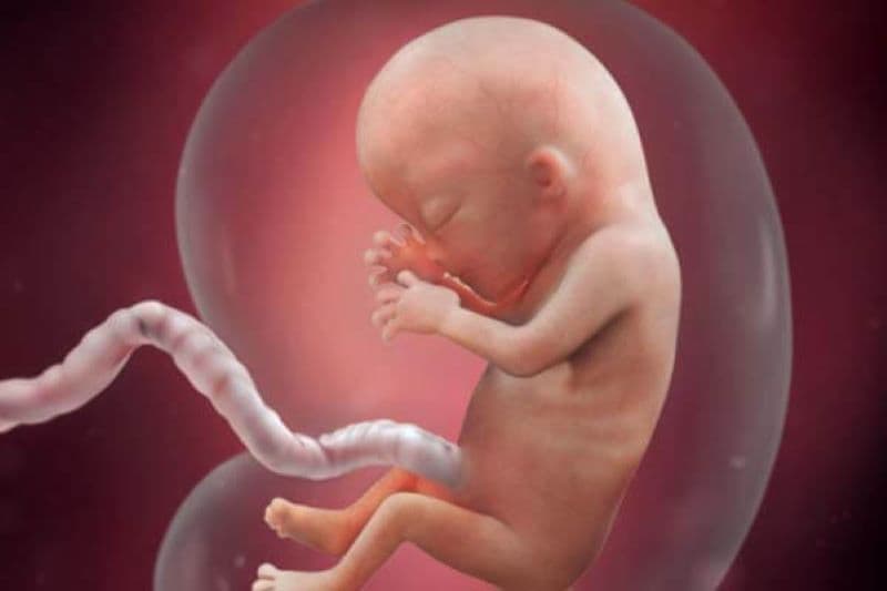 độ mờ da gáy có tăng theo tuổi thai không