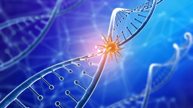 đột biến del19 trên gen EGFR