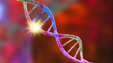 Đột biến gen KRAS trong ung thư đại tràng