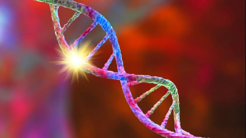 Đột biến gen KRAS trong ung thư đại tràng