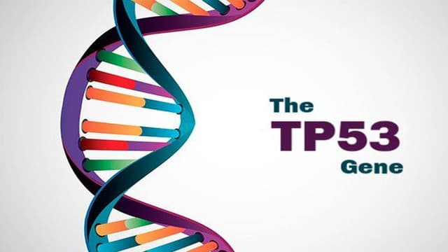 Đột biến gen TP53 gây các loại ung thư gì?