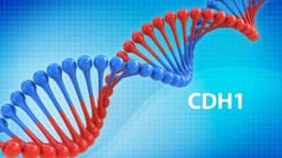 Nguy cơ ung thư ở người mang đột biến gen CDH1