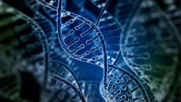 CHEK2 – Gen gây ung thư đa cơ quan