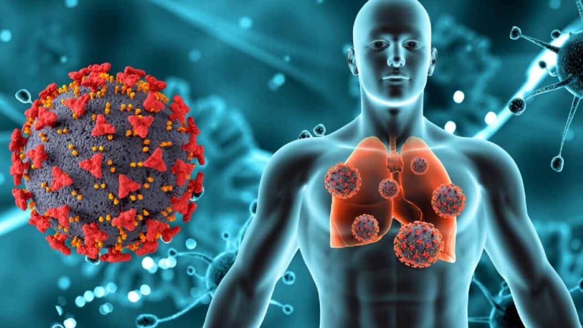 Gen EGFR là gì? Vai trò của xét nghiệm gen EGFR trong ung thư phổi