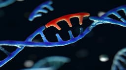 Đột biến KRAS trong ung thư tuyến tụy