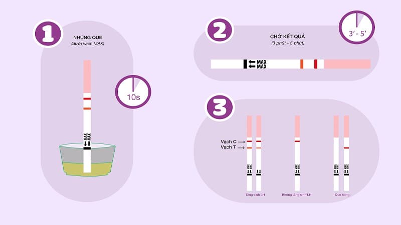 LH không tăng có rụng trứng không