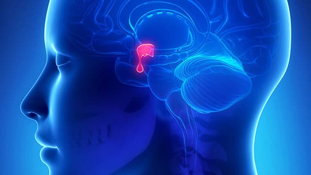 Mổ u tuyến yên bao lâu thì lành?