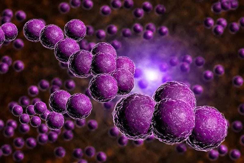 áp xe vùng chậu,