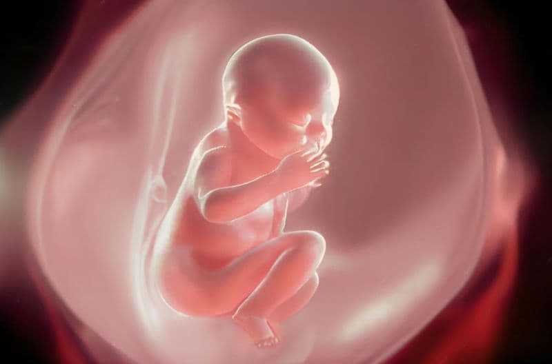 sảy thai do cường giáp