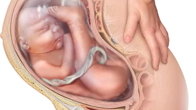 Ngôi thai ngược có sinh thường được không?