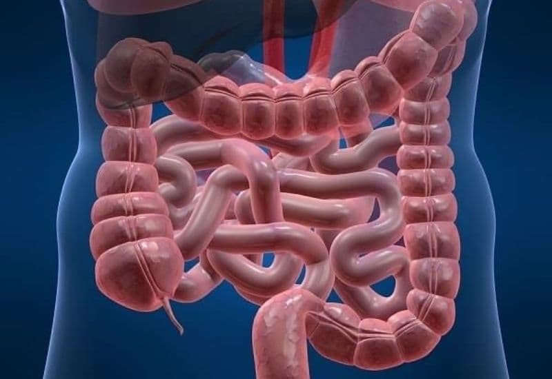 huốc hỗ trợ tiêu hóa cho người già