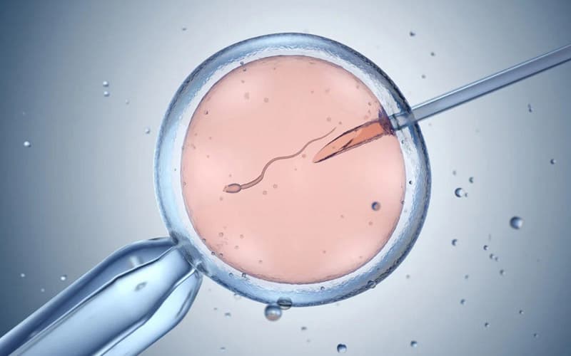 tử cung 2 sừng có làm ivf được không