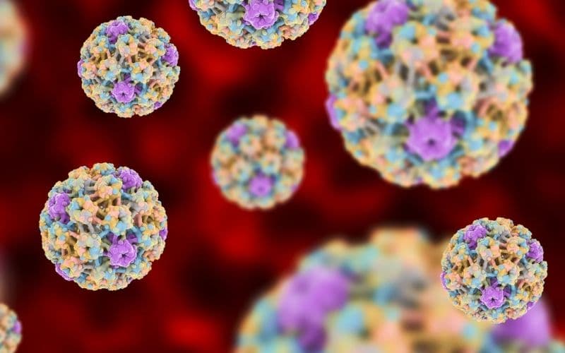 u amidan lành tính