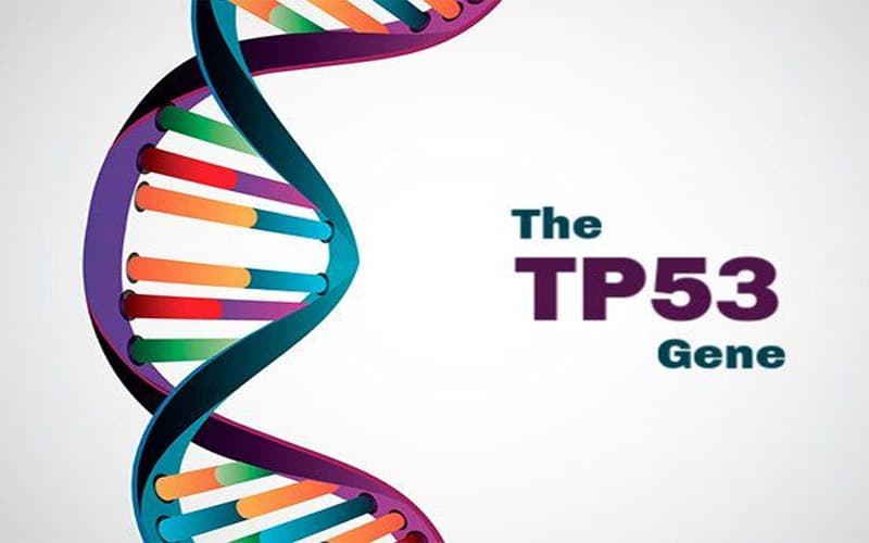 xét nghiệm gen ung thư đầu cổ