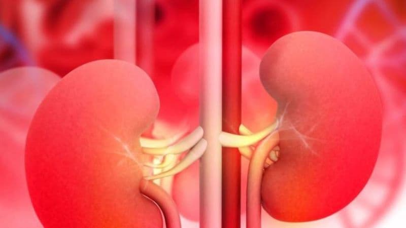 uống rượu nhiều có hại thận không