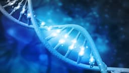 Xét nghiệm gen phát hiện ung thư sớm như thế nào? Vai trò và quy trình