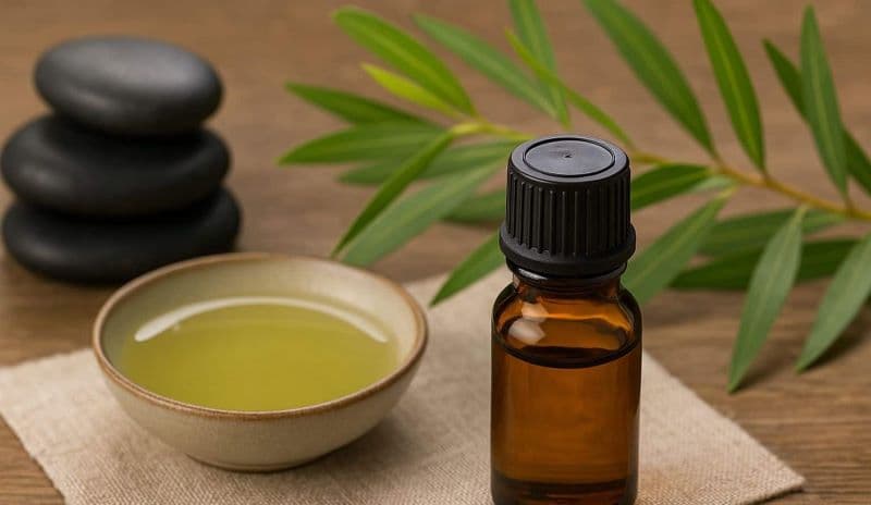 trẻ sơ sinh bị muỗi đốt bôi dầu tràm