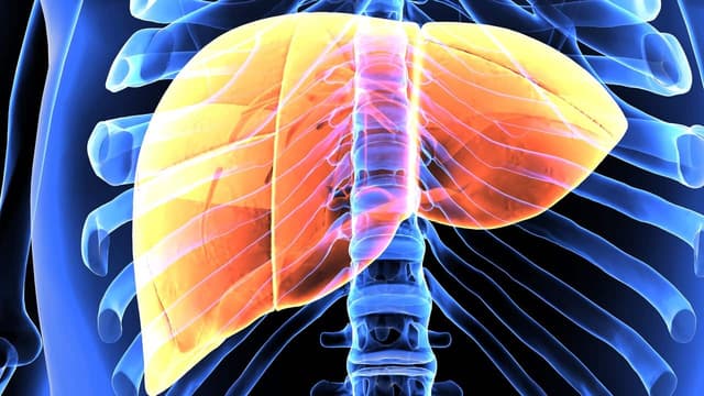 Các thuốc điều trị tăng men gan