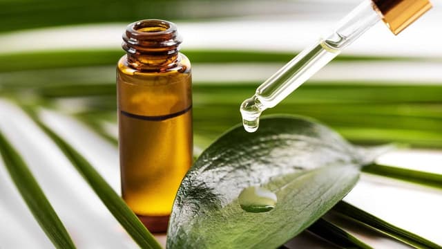 Cách sử dụng tinh dầu tràm cho trẻ sơ sinh