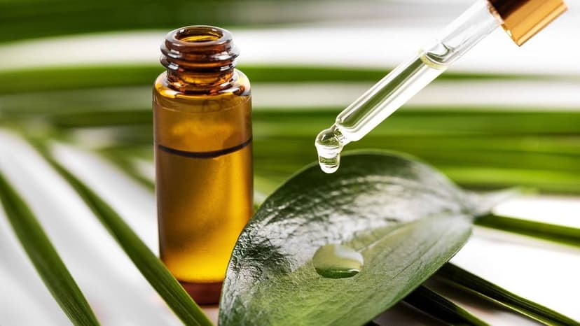 Cách sử dụng tinh dầu tràm cho trẻ sơ sinh