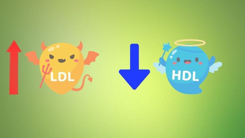 chất béo chuyển hóa là gì