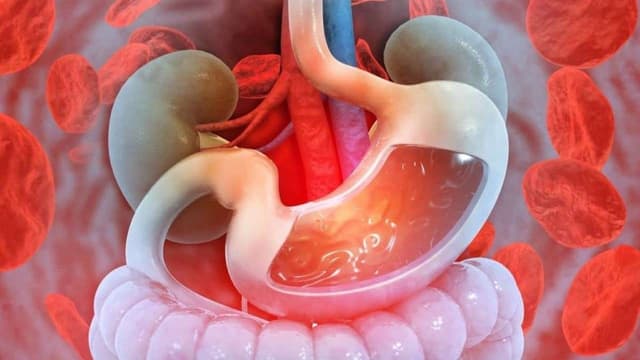 Xuất huyết tiêu hóa phát hiện qua nội soi không?