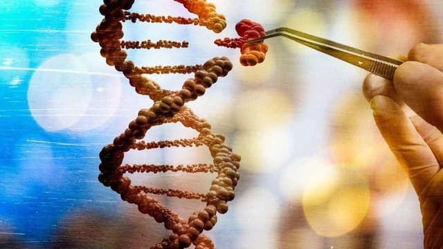 Chuyển hóa glucid là gì? Tạng nào đảm nhiệm?