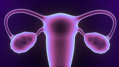 Dày thành bàng quang là gì? Ảnh hưởng của nó?